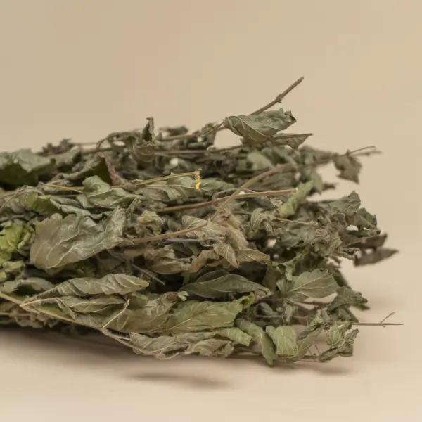 Травы для бани Woodson, мелисса