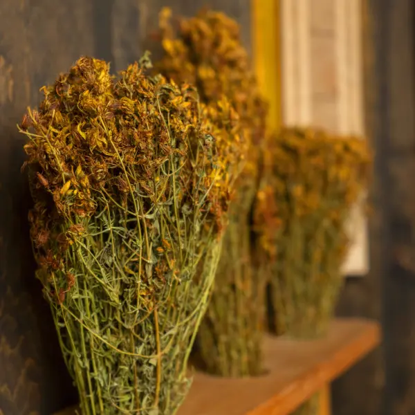 Травы для бани Woodson, зверобой